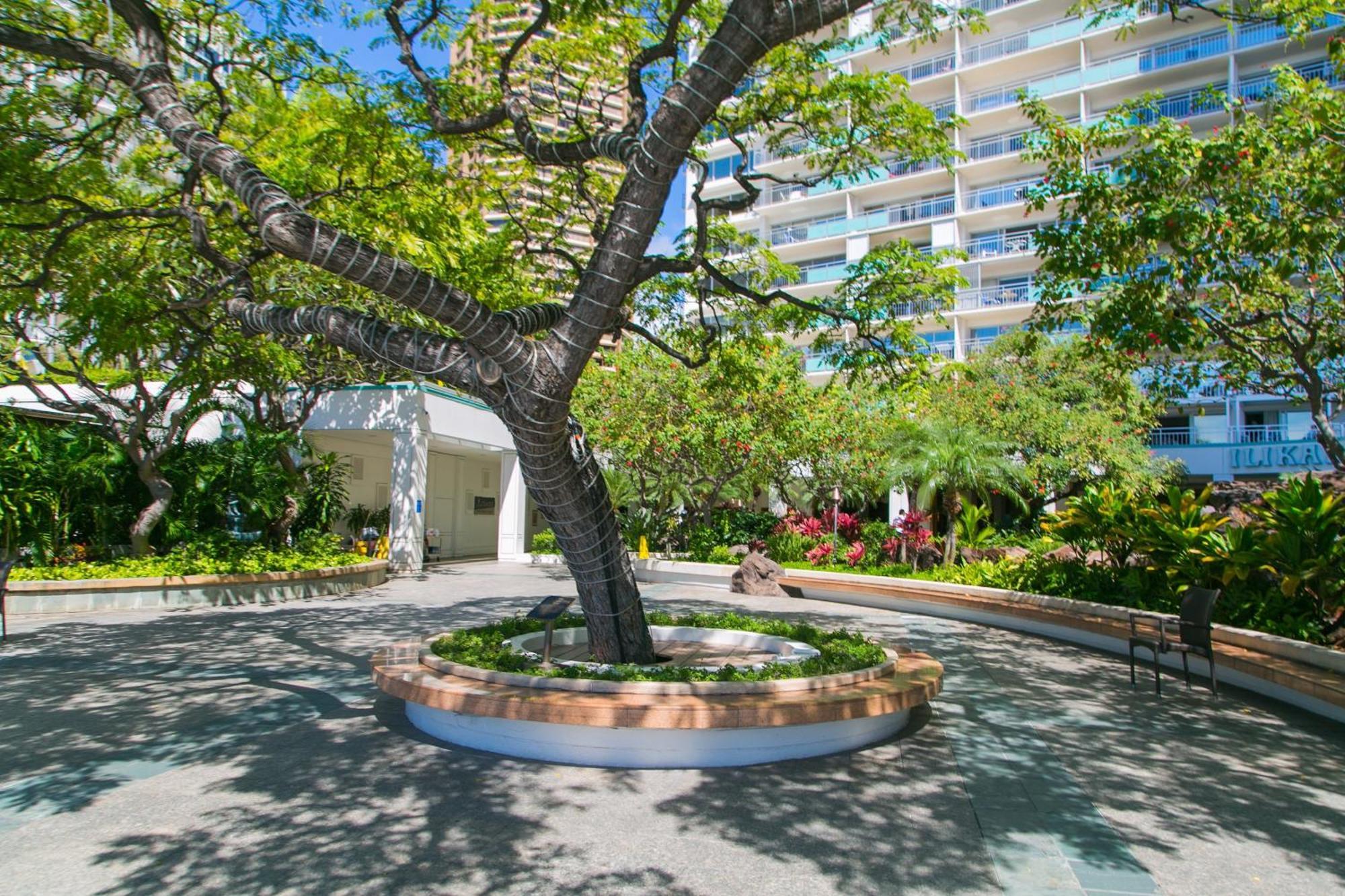 Ilikai Tower 1340 Lagoon View 1Br Honolulu Eksteriør billede